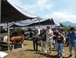 Gebyar Ternak Padjadjaran 2026 Dorong Peternak Lokal Naik Kelas