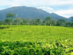 Mengungkap Potensi Wisata sejarah Kabupaten Bogor