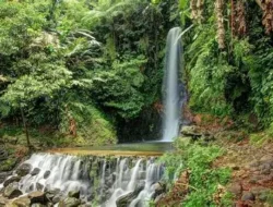Surga Tersembunyi di Gunung Picung Bogor, Curug Ngumpet dan Alamnya yang Asri