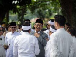 Penebangan dan Pemangkasan Pohon di Jalan Provinsi Harus Seizin Gubernur