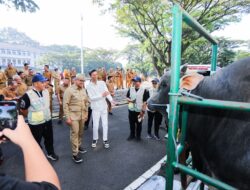 Pemkot Bandung Kerahkan 184 Petugas, Pastikan Hewan Kurban Sehat hingga Hari Tasyrik