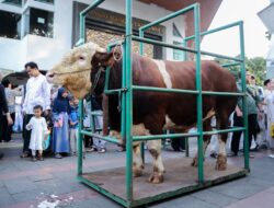Iduladha di Kota Bandung Khidmat, 18 Ribu Hewan Kurban Dipastikan Sehat