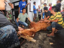 Wali Kota Farhan Berkurban di Cicadas, Pancarkan Kebersamaan dan Gotong Royong