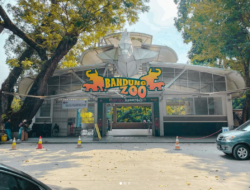 Riwajat Panjang Bandung Zoo, Pernah Alami Lelang Masa Perang Kemerdekaan