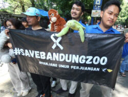 Suplai Pakan Terakhir 5 Mei, Bandung Zoo Terancam Krisis Pakan Satwa Lagi