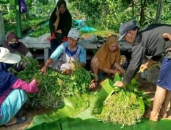 Panen Kangkung KWT Angsana Pengasinan, Wujud Ketahanan Pangan dan Pemberdayaan Perempuan
