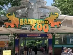 Tanggung Jawab Pakan Beralih ke Pemkot Bandung, Translokasi Satwa di  Bandung Zoo Ditolak