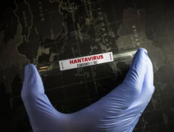 Hantavirus Tersebar di 9 Provinsi, Jabar 5 Kasus dan Banten 1 Kasus   