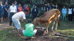 JPZISNU Musholla Nurul Iman Taman Jaya Cipayung Ajak Muzaki Berbagi Daging Kurban Premium
