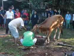 JPZISNU Musholla Nurul Iman Taman Jaya Cipayung Ajak Muzaki Berbagi Daging Kurban Premium