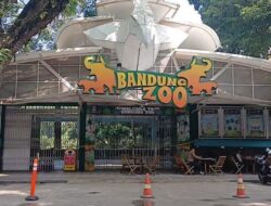 Lelang Pengelola Bandung Zoo Rampung Akhir Mei, Ini Penyebab Belum  Ada Pemenang