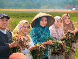 Saatnya yang Muda Menanam, Bunda El Dorong Lahirnya Petani Milenial