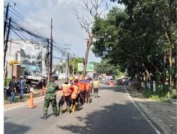 Pohon Rawan Tumbang Diruas Jalan Nasional Jatinangor Dipangkas dan Ditebang