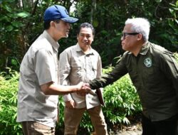 Cara Mentrans Menjaga Orang Utan Borneo di Kawasan Konservasi Samboja Lestari di Kukar 