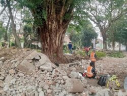 Halaman Gedung Cagar Budaya di Cimahi Terdampak  Underpass Gatot Subroto, Pohon-pohon Besar Juga Ditebang