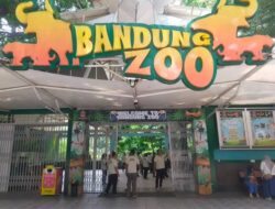 Bandung Zoo Berkonsep Modern, Fokus Utama Kesehatan Hewan 