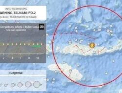 Gempa NTT: Tsunami Terdeteksi di 10 Wilayah, NTB – Sulsel