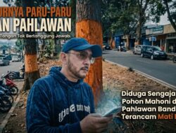 Trinusa Dukung RAGA Terkait Kecaman Keras Pengulitan Pohon Mahoni di Kota Bandung