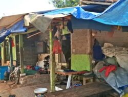 Viral Pengupas Bawang Rp 700 Ribu/Kg:  Rumah Susanah Dipasangi Garis Polisi, Media Peliput Harus Kantongi Izin